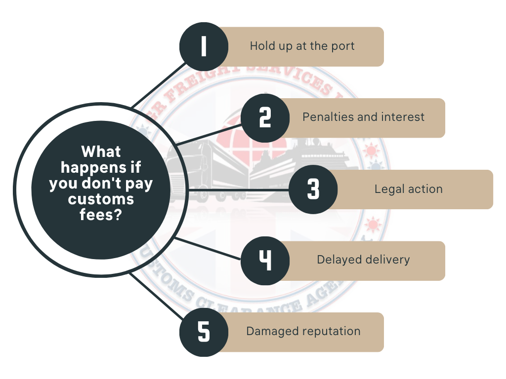 Why Pay Customs? Everything You Need to Know about the Consequences